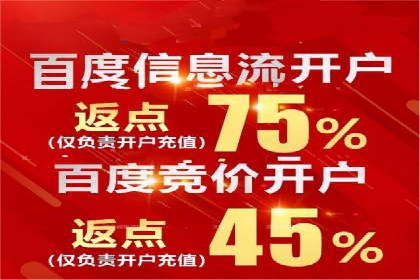 成功SEM推广代运营案例展示